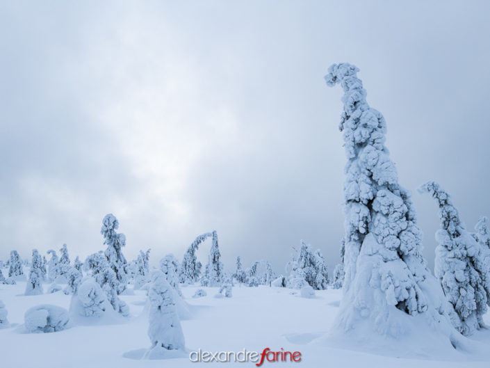 Finlande (Kuusamo)